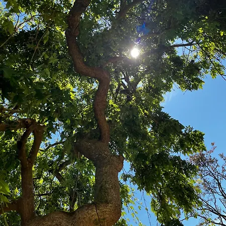 Accommodatie bij particulieren La Demeure D'euphrosine