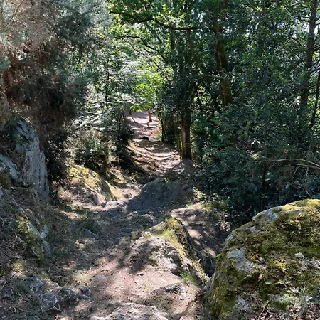 La Demeure D'euphrosine *