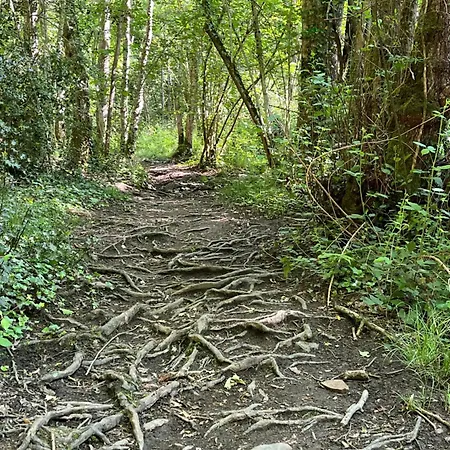 La Demeure D'euphrosine