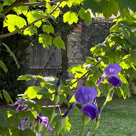 La Demeure D'euphrosine Accommodatie bij particulieren