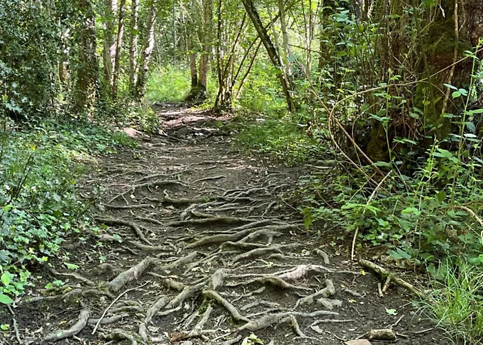 La Demeure D'euphrosine